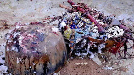 RELIGIONS ENDOGENES AU BENIN : Zoom sur quelques divinités “Bun” adorées en milieu Baatonu