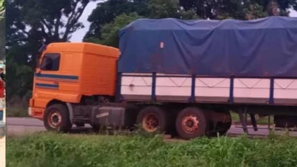 SORTIE ILLICITE DE NOIX DE CAJOU AU BÉNIN :  84 tonnes interceptées à Bantè