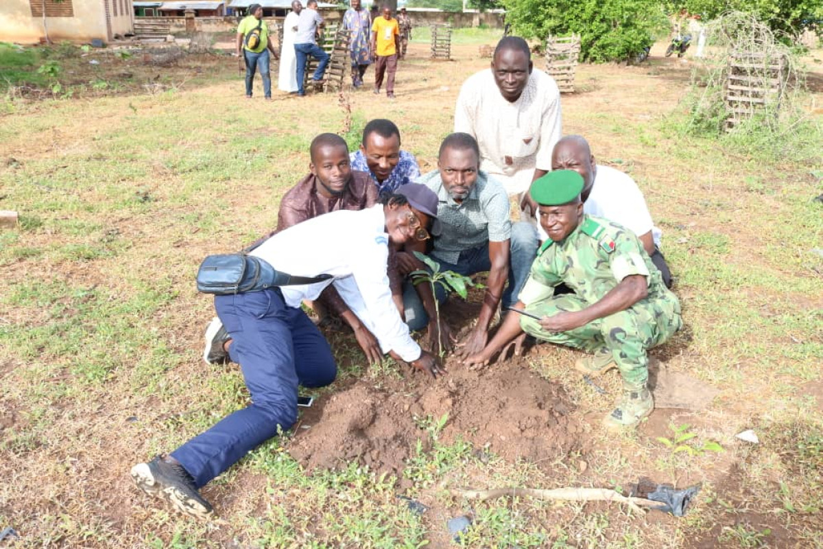 39E ÉDITION DE LA JOURNÉE NATIONALE DE L&rsquo;ARBRE : La mairie de Nikki a mis en terre une centaine de plants