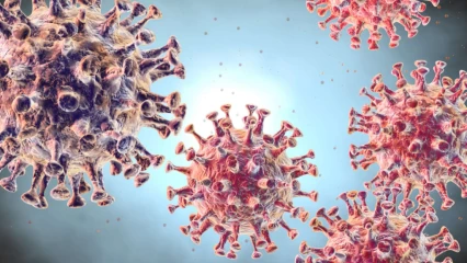 COVID-19 :  Les vaccins déjà au Bénin