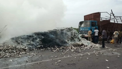 N&rsquo;DALI :  Une bonne quantité de coton réduite en cendres