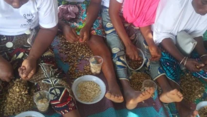 JIF/ CHAMPIONNAT DE DECORTICAGE DE SESAME : L&rsquo;Ong Okouabo valorise la femme