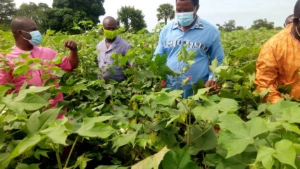 CAMPAGNE COTONNIÈRE 2020-2021 DANS LE DÉPARTEMENT DE L&rsquo;ALIBORI : L&rsquo;Aic et la Fn-Cvpc en tournée dans plusieurs communes