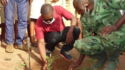 JOURNÉE NATIONALE DE L’ARBRE À BEMBEREKE : 120 plants mis en terre