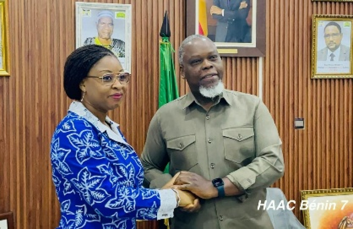 Renforcement de la collaboration entre la haac et le ministère du numérique: Aurélie Adam Soulé reçue par Édouard Loko