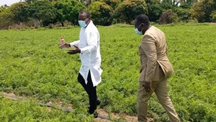 CAMPAGNE AGRICOLE 2021-2022 : Le ministre Dossouhoui a donné le top à Grand-Popo