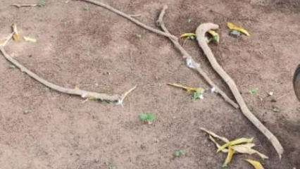 DÉCÈS D&rsquo;UN CANDIDAT AU CONCOURS MILITAIRE : Un proche de la famille accusé de sorcellerie, abattu par les parents du défunt à Cobly