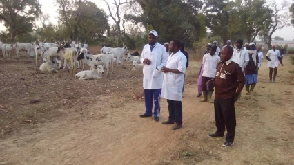 DEUXIEME PHASE DE LA VACCINATION CONTRE LA PASTEURELLOSE BOVINE ET LA PPCB A BANIKOARA : Bio Sarako Tamou au contact des acteurs