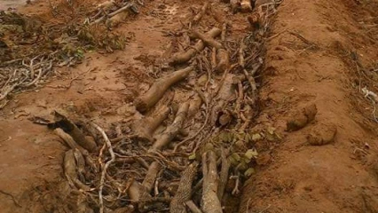 BITUMAGE DES ROUTES NIKKI-KALALÉ-SÉGBANA, KOTA-KOUANDÉ ET N&rsquo;DALI-NIKKI-TCHIKANDOU : Le gouvernement donne un coup d&rsquo;accélérateur au projet 