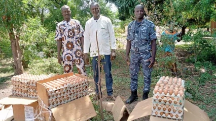 BEMBÉRÉKÉ : 2 700 œufs impropres à la consommation détruits