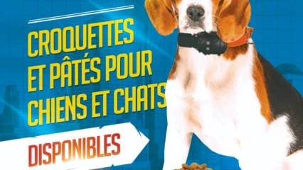 POUR TOUT BESOIN DE CROQUETTES ET PÂTÉS POUR CHIENS ET CHATS : L&rsquo;Ets Claudio&rsquo;s ouvre ses portes à Parakou  . Contactez l&rsquo;établissement Claudio&rsquo;s au 66 66 49 10 à Parakou
