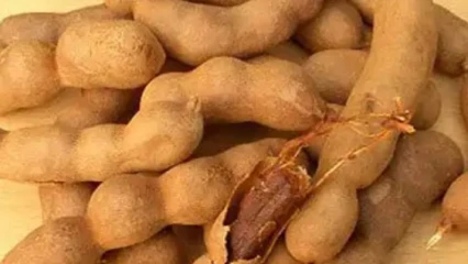 ASTUCES DES FRUITS : Voici 10 raisons de consommer le tamarin