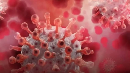 Nouvelle souche de Coronavirus identifiée en Chine: les béninois déjà résilients ?