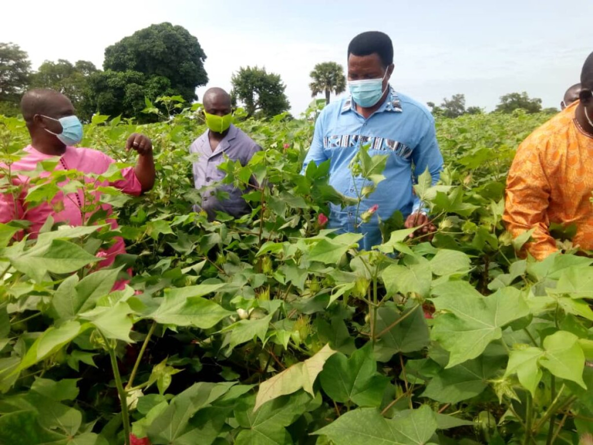 CAMPAGNE COTONNIÈRE 2020-2021 DANS LE DÉPARTEMENT DE L&rsquo;ALIBORI : L&rsquo;Aic et la Fn-Cvpc en tournée dans plusieurs communes