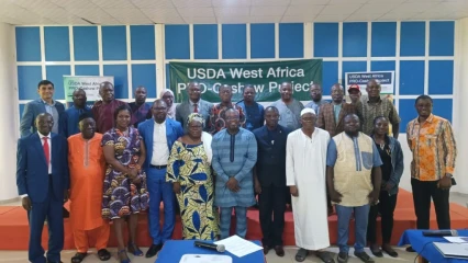 POLITIQUES ET RÉGLEMENTATIONS DE LA FILIÈRE CAJOU EN AFRIQUE DE L&rsquo;OUEST :  PRO-Cashew et le Maep restituent les recommandations des ateliers régionaux aux acteurs béninois