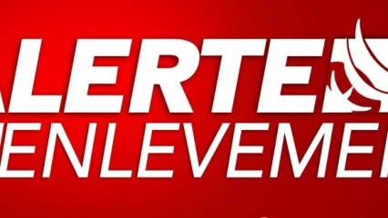 URGENT / NOUVELLE INCURSION DES DJIHADISTES DANS DEUX VILLAGES DE MONSEY À KARIMAMA :  Deux individus enlevés dont le grand frère du Chef d&rsquo;Arrondissement