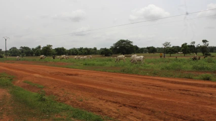 CREATION DES COULOIRS ET AIRES DE PATURAGE SUR L&rsquo;AXE GOMPAROU-FOUNOUGO-KANDEROU : Le conseil communal réalise un vieux rêve des agro-éleveurs