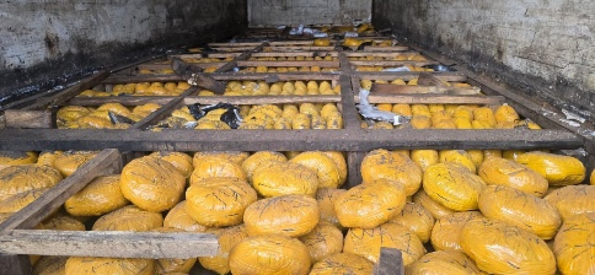 Déménagement d'un réseau de trafic de stupéfiants à Tchaourou: la police saisie 2 450,61 kg de drogue à Bétérou