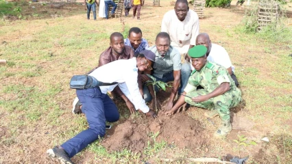 39E ÉDITION DE LA JOURNÉE NATIONALE DE L&rsquo;ARBRE : La mairie de Nikki a mis en terre une centaine de plants