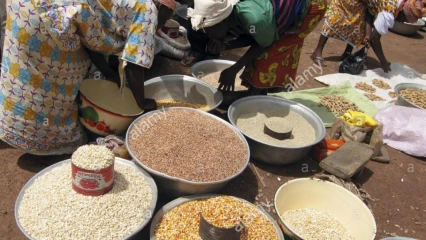 REVERS DU COMMERCE INTER-VILLES AU BÉNIN : La dignité féminine sacrifiée sur l&rsquo;autel de l&rsquo;autonomie financière!