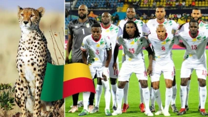 FOOTBALL/CHANGEMENT DU NOM DES ÉCUREUILS DU BÉNIN EN GUÉPARDS : Réactions des citoyens de Parakou