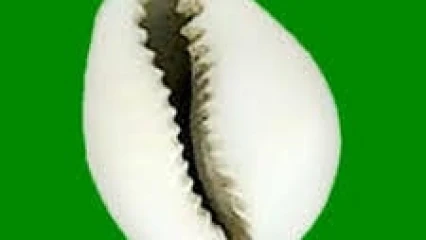 EDITO :Le feuilleton Fcbe !