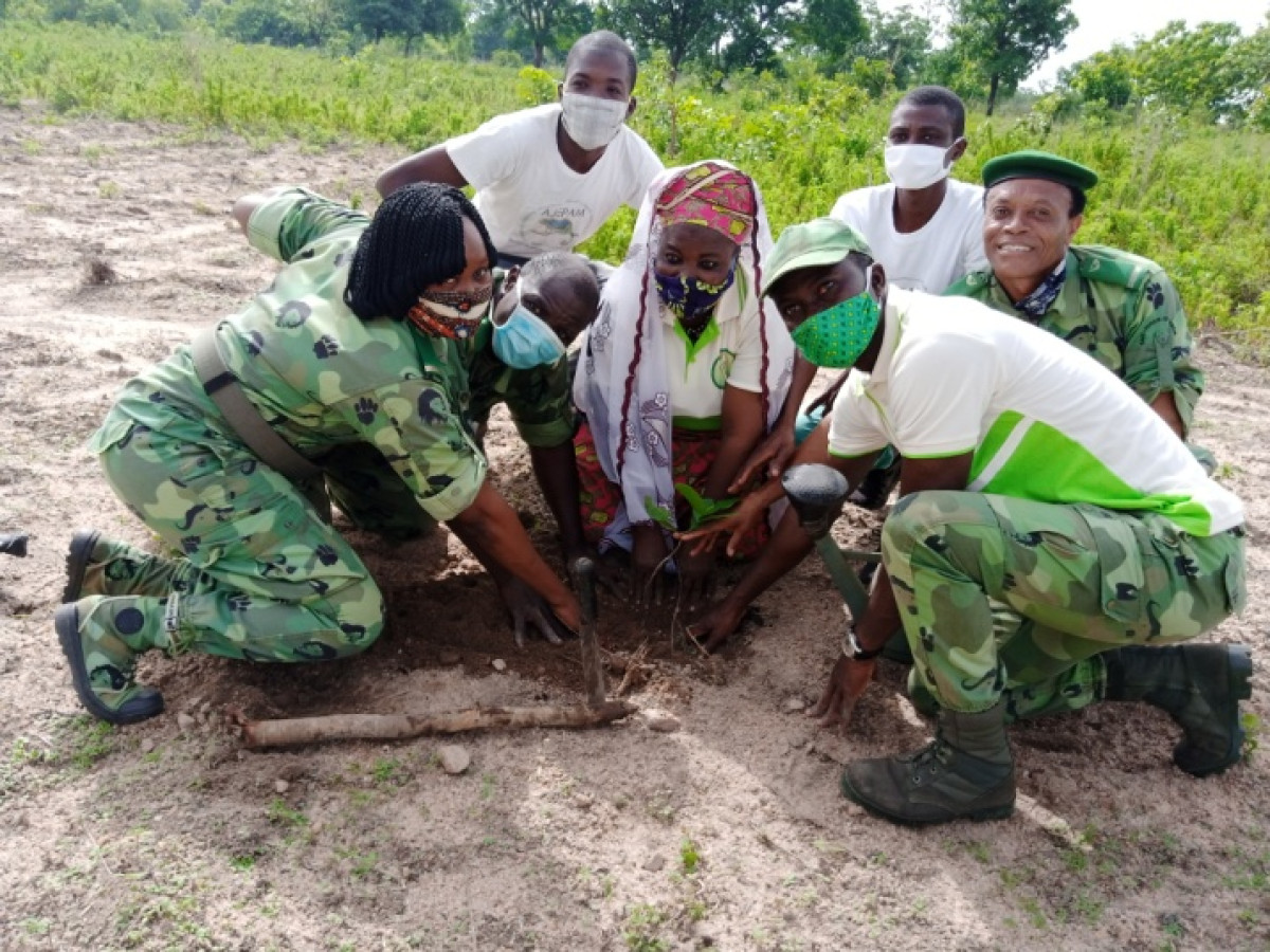 LUTTE CONTRE LA DÉSERTIFICATION A PARAKOU : La Fenapab en main verte avec 300 plants greffés d&rsquo;anacardier