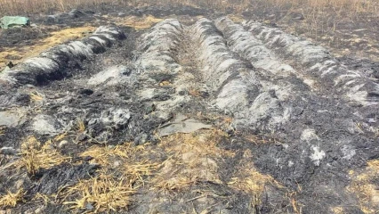 INCENDIE À BEMBÉRÈKÈ : 11 hectares de cultures brûlés dans un champ