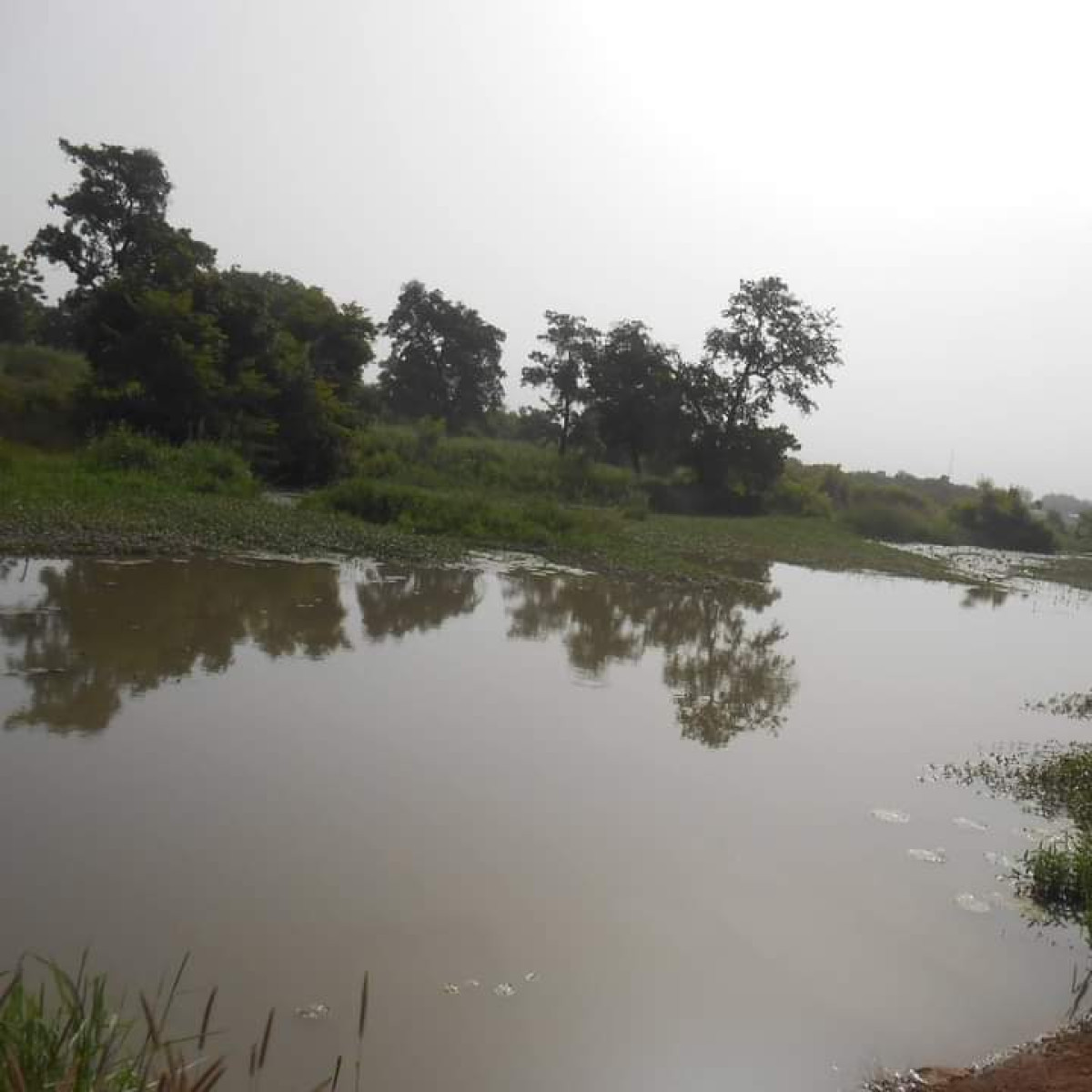 DRAME A NIKKI : Un conducteur de taxi-moto meurt par noyade