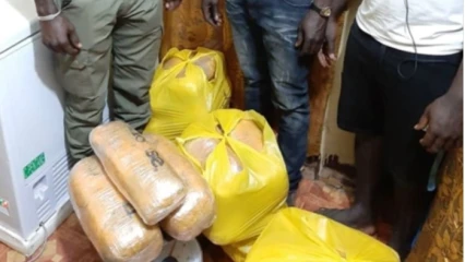 BÉNIN : La drogue circule comme ce n&rsquo;est pas permis