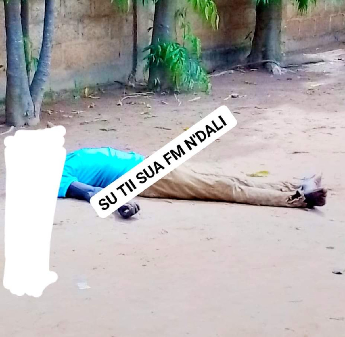 N&rsquo;DALI   :   Un homme meurt électrocuté sur un arbre 