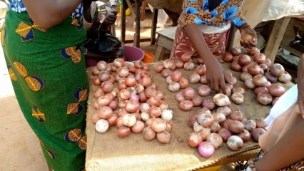 FLAMBÉE DU PRIX DE L&rsquo;OIGNON À PARAKOU : Consommateurs et revendeurs se plaignent