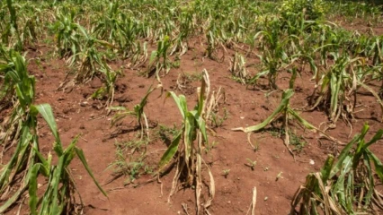 BÉNIN/FACE AUX EFFETS NÉFASTES DES CHANGEMENTS CLIMATIQUES :  L’assurance agricole indicielle bientôt mise en place  