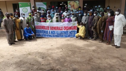 PROMOTION DE LA FILIERE  CAJOU AU BENIN : La Fenapab rend compte à ses coopératives . Des résultats encourageants notés pour 2021