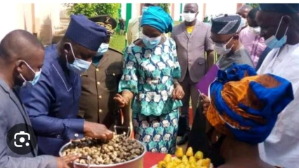 Campagne de commercialisation 2024-2025 des noix de cajou: le prix de vente fixé à 375 Fcfa/kg 