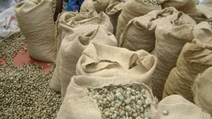 BÉNIN/EN VUE DE L&rsquo;ÉTABLISSEMENT D&rsquo;ACCORDS-CADRES AVEC L&rsquo;ÉTAT : Les interprofessions anacarde et soja bientôt réorganisées