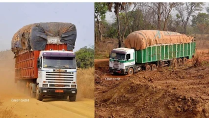 BÉNIN PREMIER PRODUCTEUR DE COTON EN AFRIQUE : Pourtant les zones productrices végètent dans l&rsquo;enclavement, la misère et la précarité