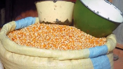 Réactions des populations suite à la levée de la mesure d&rsquo;interdiction d&rsquo;exportation des produits vivriers: que faire pour satisfaire le béninois ?