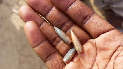 BÉNIN/À KARIMAMA : L’armée déjoue une attaque terroriste . Des balles perdues tuent un bœuf