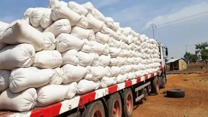 235 MILLIONS RÉCLAMÉS POUR EXPORTATION FRAUDULEUSE DE SOJA : La douane béninoise veut réveiller la colère des producteurs   . La saison prochaine très menacée 