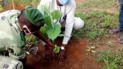 JOURNÉE DE L’ARBRE A NIKKI : 2 500 plants mis en terre