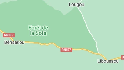 INSÉCURITÉ À KANDI : Des Iani emportent des vivres à Bensékou