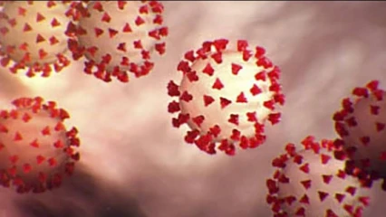 COVID-19 :  Le Sénégal et le Madagascar méprisent l&rsquo;Oms