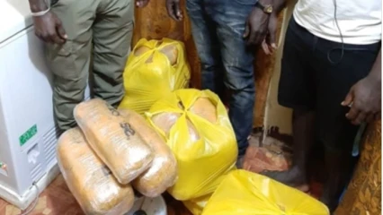 BÉNIN : La drogue circule comme ce n&rsquo;est pas permis