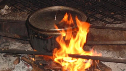 UTILISATION INTENSIVE DU BOIS DE CHAUFFE AU BENIN : Le grand fléau qui ravage la faune et la flore