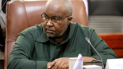 Namibie/Pour viol sur une fille de 16 ans: Le ministre de l&rsquo;agriculture limogé du gouvernement 