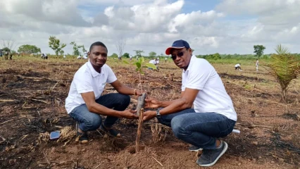 POUR UNE MEILLEURE PRODUCTIVITE À TRAVERS LES PLANTS PERFORMANTS D&rsquo;ANACARDIERS : Pro-Cashew et la Fenapab mettent en terre 200 plants à Kétou . Usda, partenaire financier