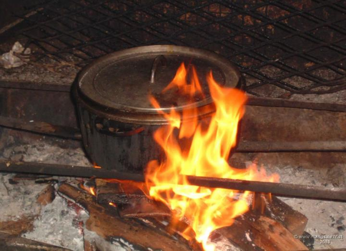 UTILISATION INTENSIVE DU BOIS DE CHAUFFE AU BENIN : Le grand fléau qui ravage la faune et la flore
