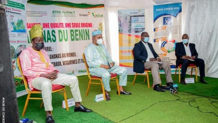 PREMIERE EDITION DES JOURNEES DE L’ANANAS DU BENIN : Les acteurs se donnent la main pour une revalorisation de la filière
