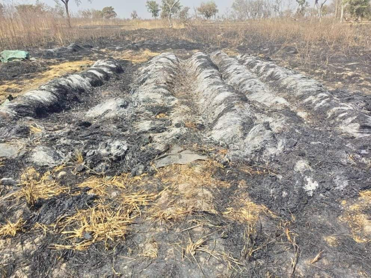 INCENDIE À BEMBÉRÈKÈ : 11 hectares de cultures brûlés dans un champ